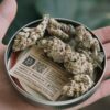 BOVEDA 62% 1g saszetka regulator wilgotności susz