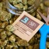 BOVEDA 62% 1g saszetka regulator wilgotności susz