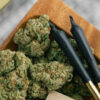 BOVEDA 62% 1g saszetka regulator wilgotności susz