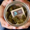 BOVEDA 62% 1g saszetka regulator wilgotności susz