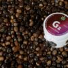 GUARANA do WAPORYZACJI susz zioła pobudza kofeina