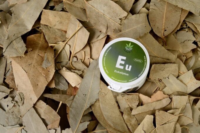 EUKALIPTUS do AROMATERAPII susz zioła stres kaszel
