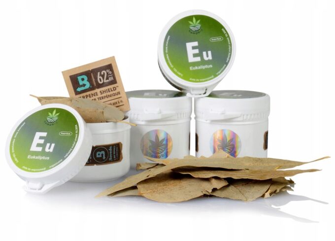 EUKALIPTUS do AROMATERAPII susz zioła stres kaszel