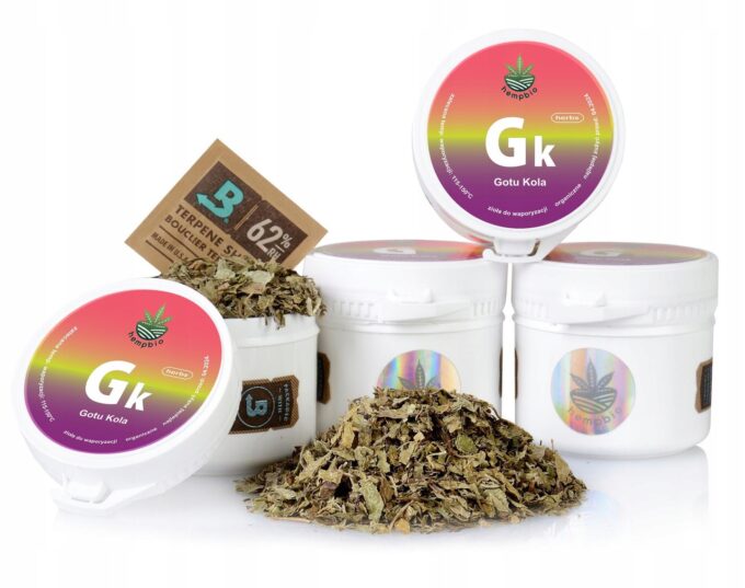 GOTU KOLA do AROMATERAPII susz zioła koncentracja
