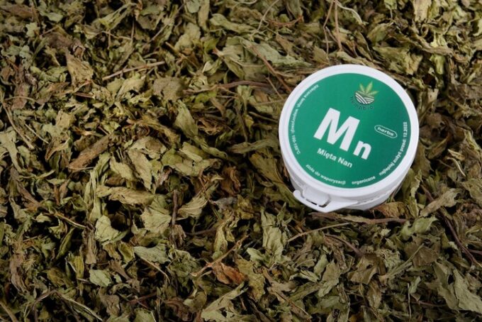 MIĘTA NAN do AROMATERAPII susz zioła liść