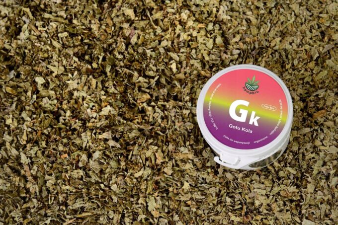 GOTU KOLA do AROMATERAPII susz zioła koncentracja