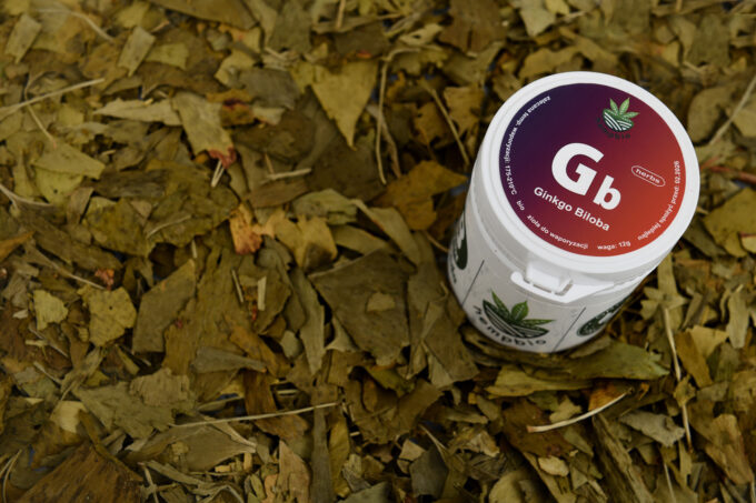 GINGKO BILOBA LIŚĆ do AROMATERAPII susz zioła dopamina