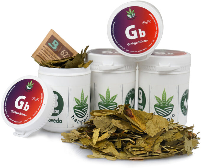 GINGKO BILOBA LIŚĆ do AROMATERAPII susz zioła dopamina